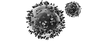 About Us Cell